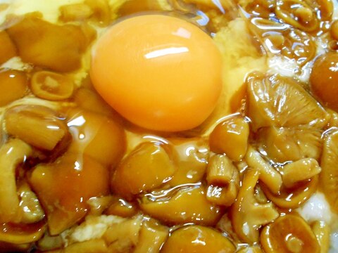 きのこ出汁が最高！とろとろなめこ丼